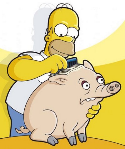 homer and Spidervepř